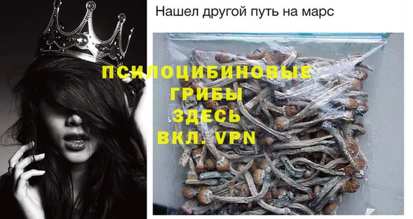 мет Алексин