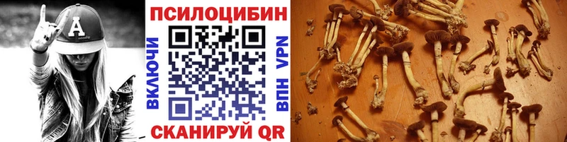 где продают наркотики  Апшеронск  blacksprut   Псилоцибиновые грибы ЛСД 